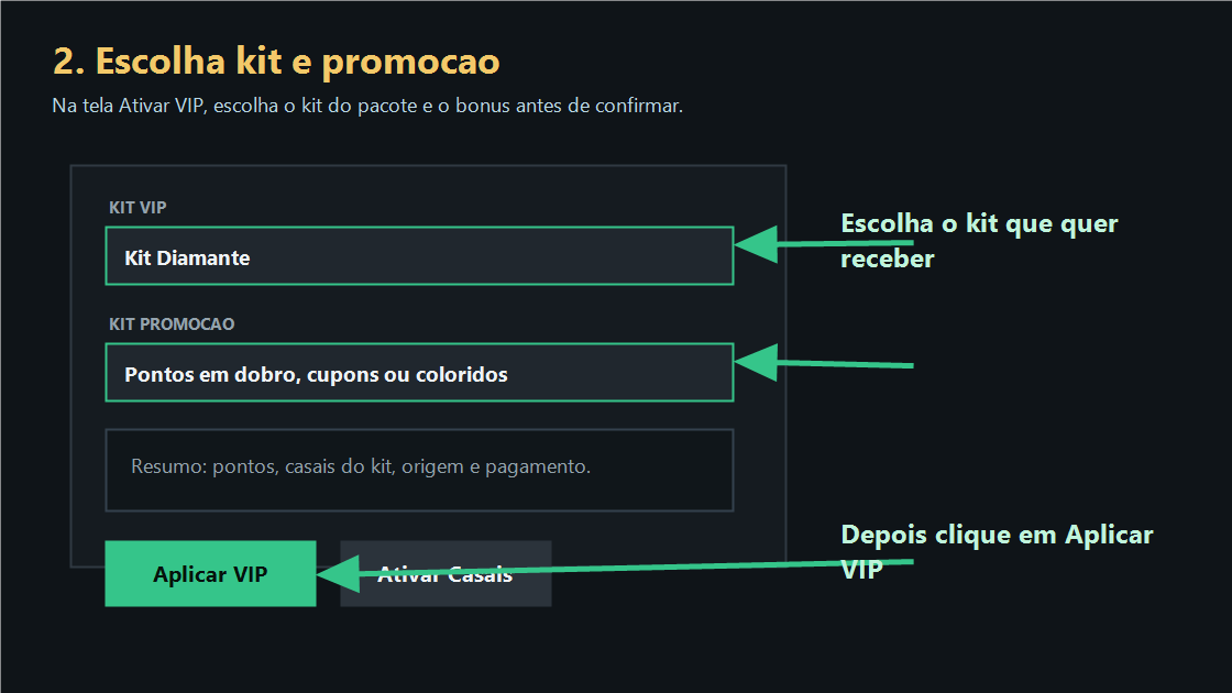 Tela mostrando seletores de kit VIP, kit promo&ccedil;&atilde;o e bot&atilde;o Aplicar VIP.