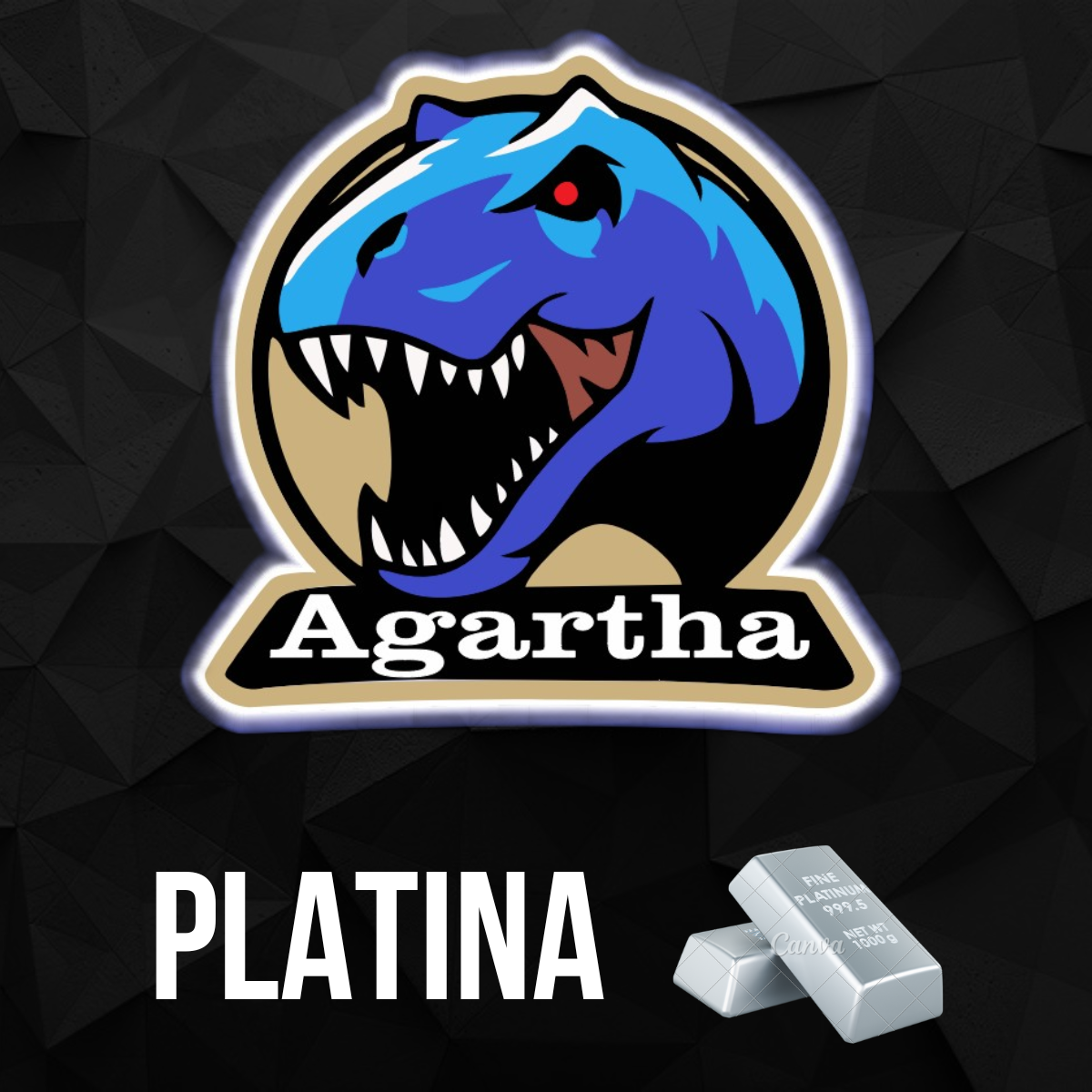VIP Steam platina